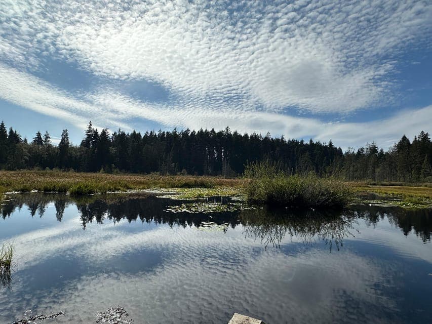 undefined Gallery Image 1