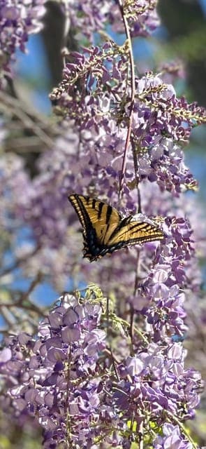 undefined Gallery Image 1