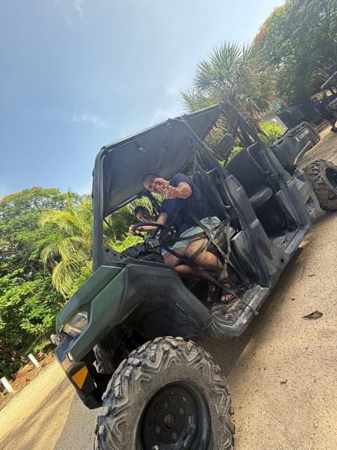 undefined Gallery Image 4