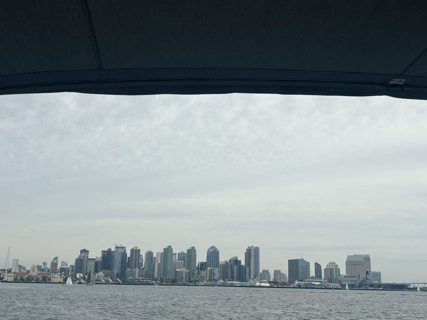 undefined Gallery Image 4