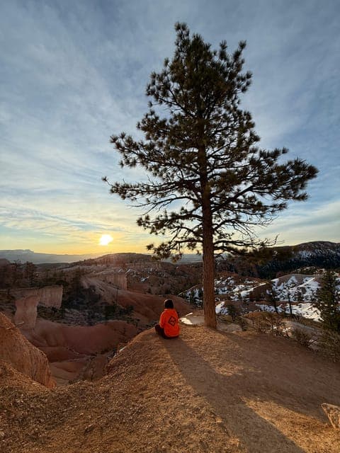 undefined Gallery Image 1