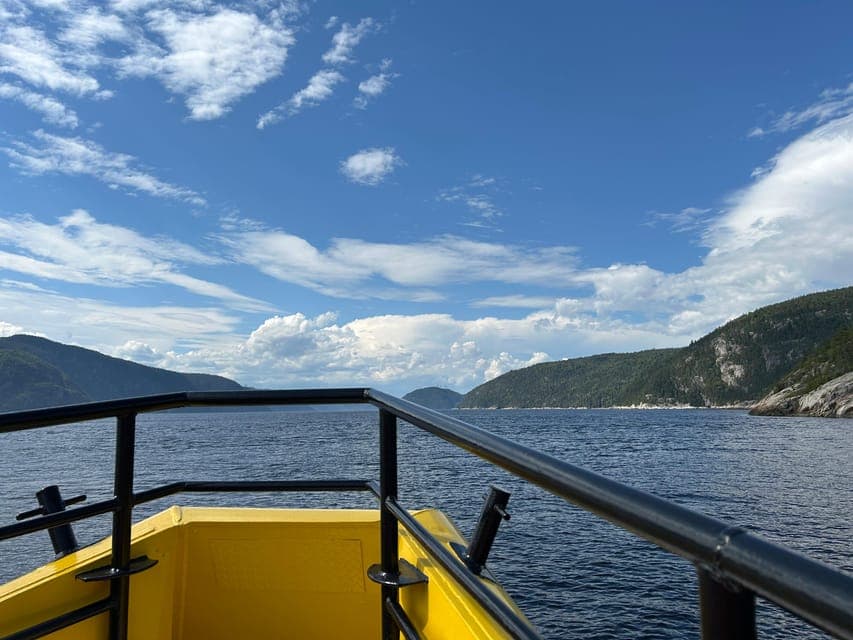 undefined Gallery Image 3