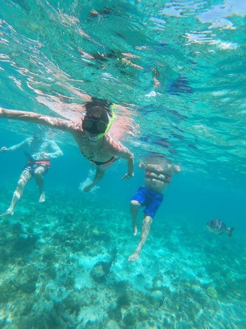 undefined Gallery Image 1