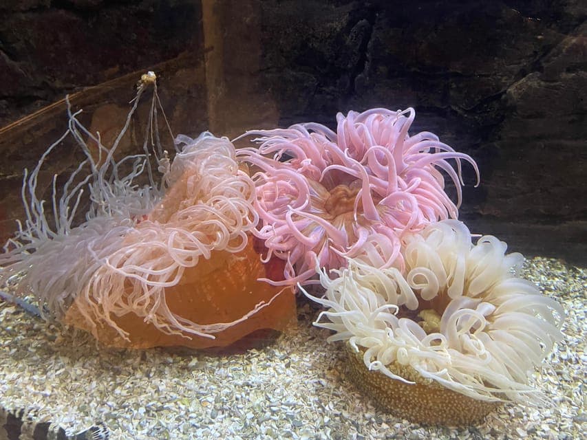 undefined Gallery Image 3