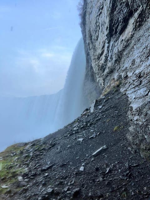 undefined Gallery Image 1