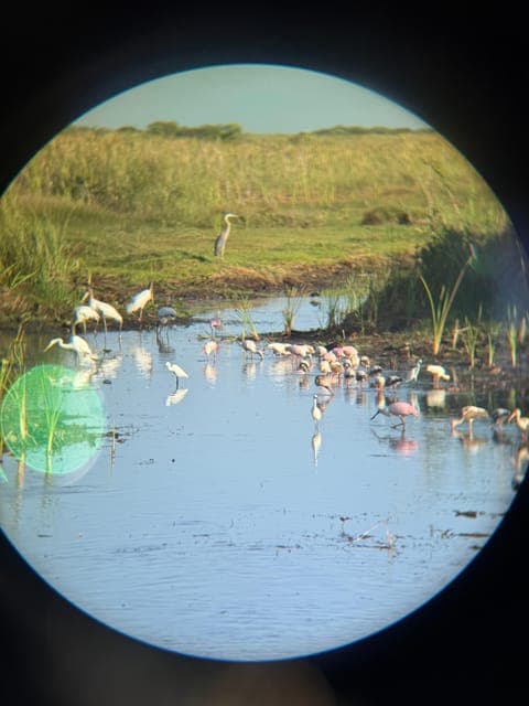 undefined Gallery Image 1