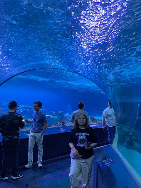 undefined Gallery Image 4