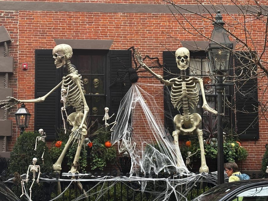 undefined Gallery Image 2