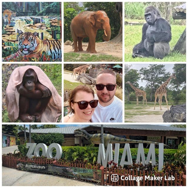 undefined Gallery Image 1