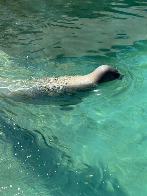 undefined Gallery Image 3