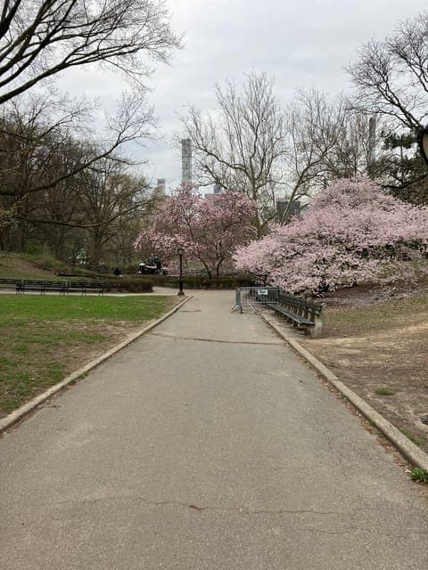 undefined Gallery Image 3