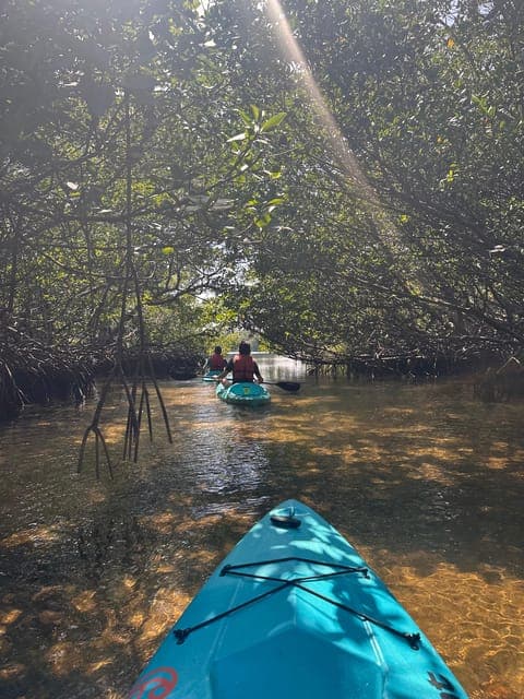 undefined Gallery Image 4