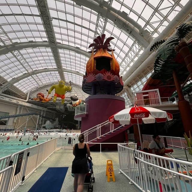 undefined Gallery Image 4