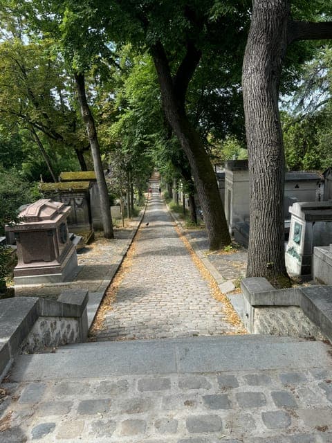 undefined Gallery Image 2