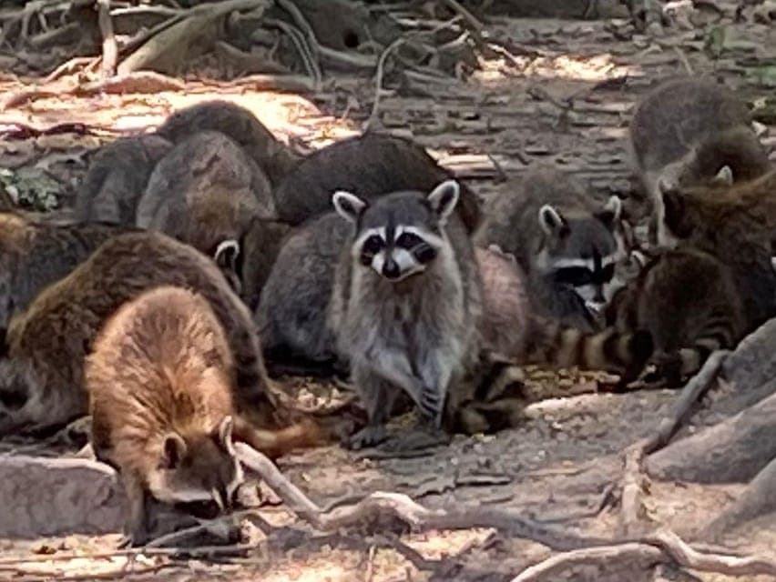 undefined Gallery Image 2