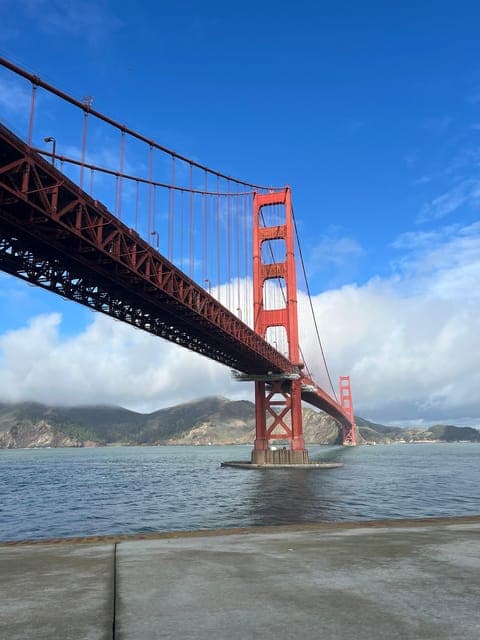 undefined Gallery Image 1