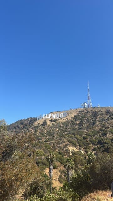 undefined Gallery Image 1