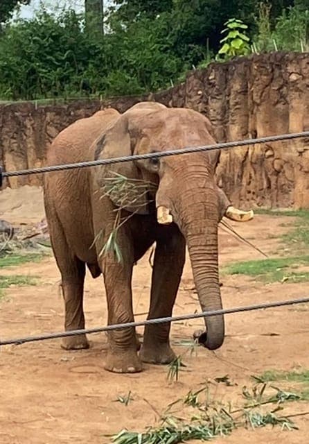 undefined Gallery Image 2