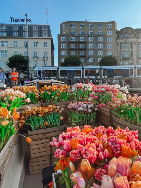 undefined Gallery Image 1