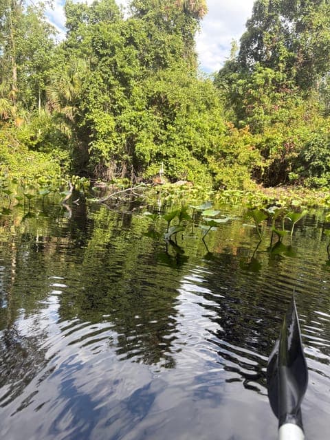 undefined Gallery Image 4