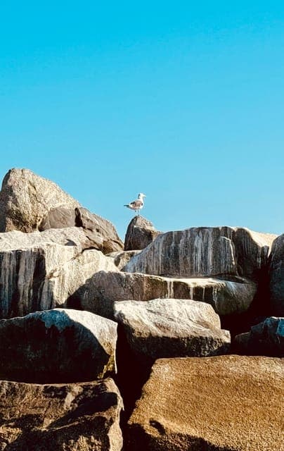 undefined Gallery Image 2