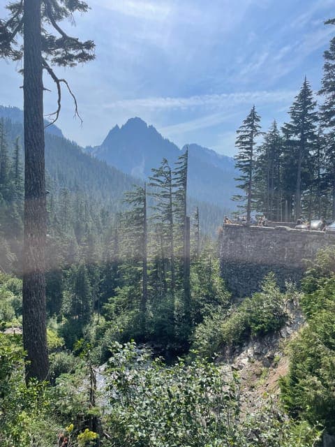 undefined Gallery Image 3