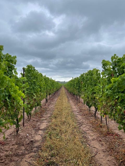 undefined Gallery Image 3