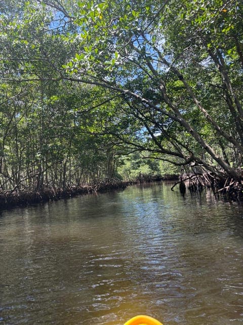 undefined Gallery Image 3