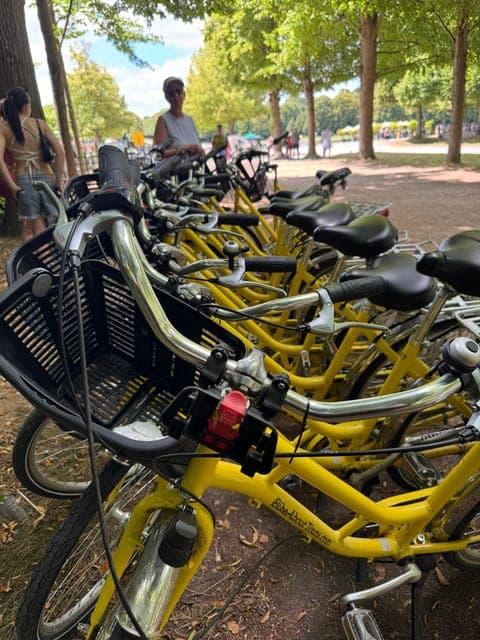 undefined Gallery Image 2