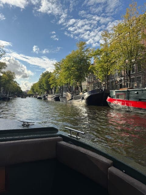 undefined Gallery Image 4