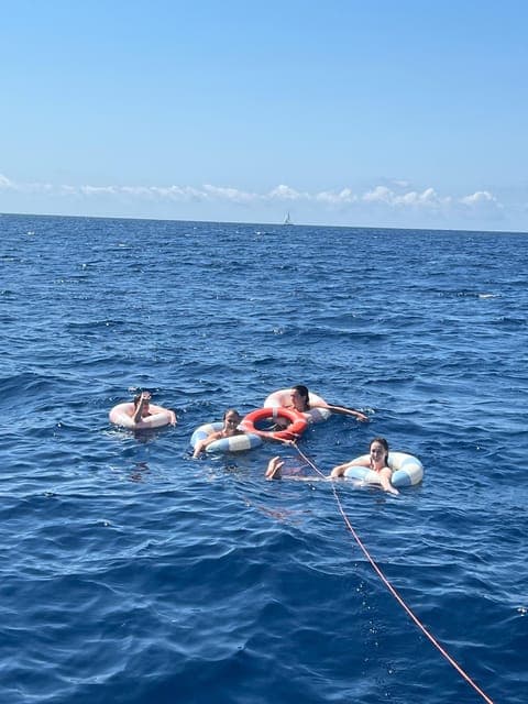 undefined Gallery Image 1