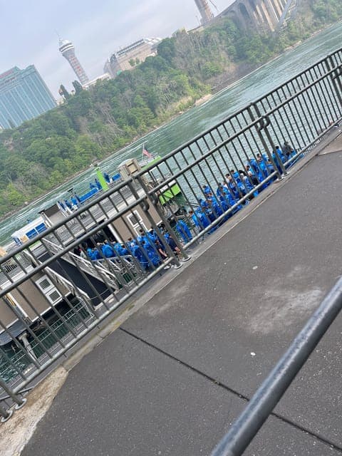 undefined Gallery Image 1