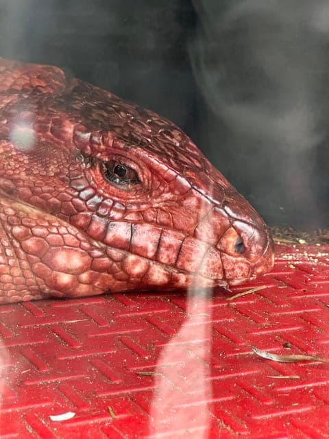 undefined Gallery Image 4