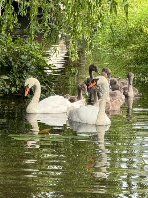 undefined Gallery Image 1