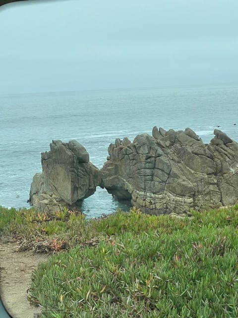 undefined Gallery Image 4