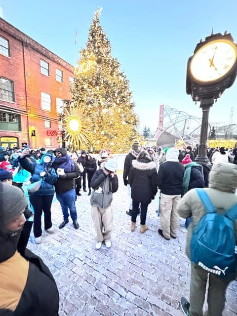 undefined Gallery Image 2