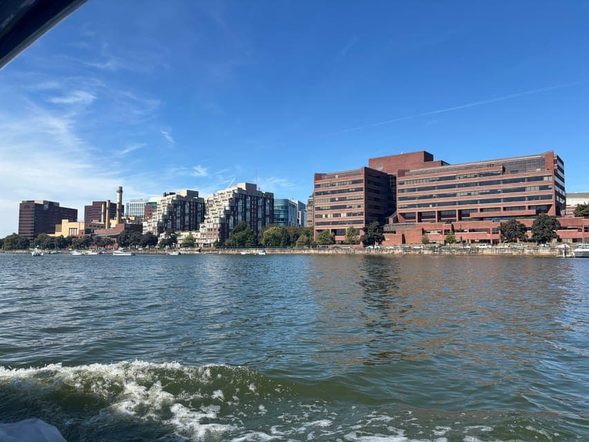 undefined Gallery Image 3