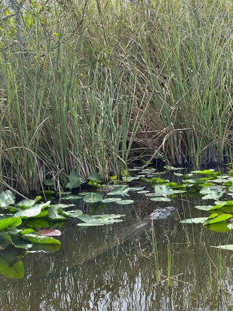 undefined Gallery Image 2