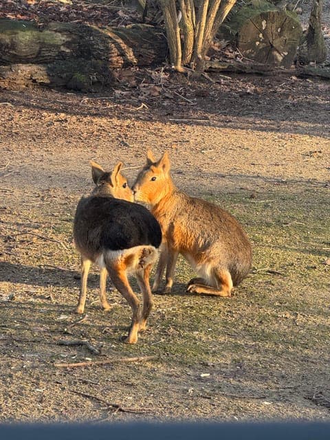 undefined Gallery Image 1