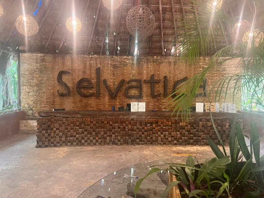 undefined Gallery Image 1