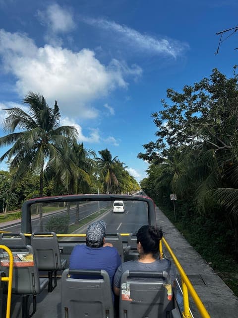 undefined Gallery Image 4