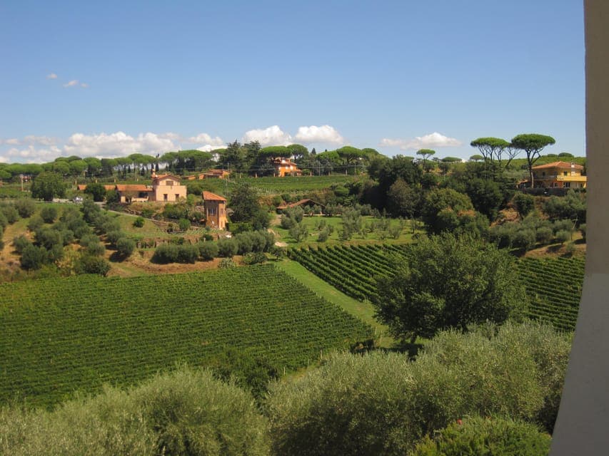 undefined Gallery Image 4