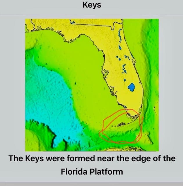 undefined Gallery Image 4