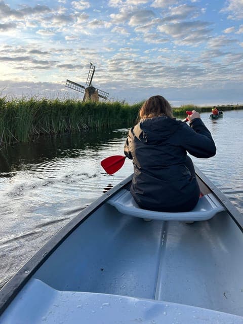 undefined Gallery Image 3