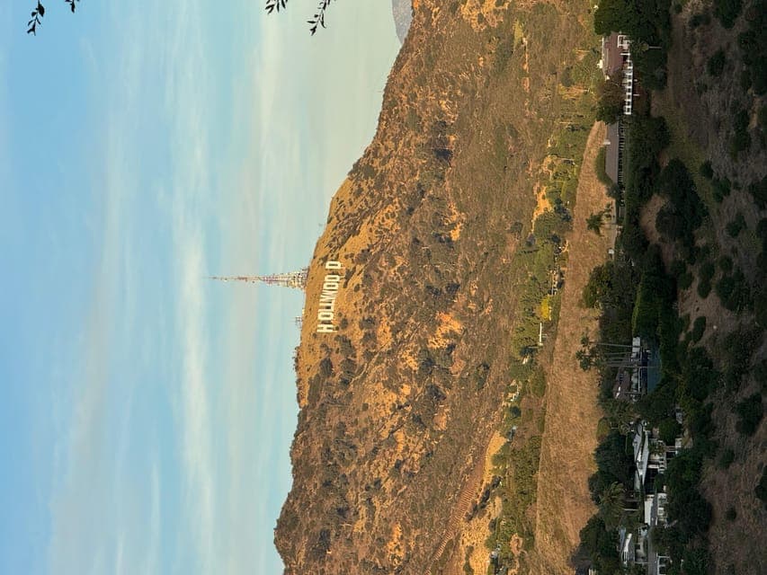 undefined Gallery Image 3