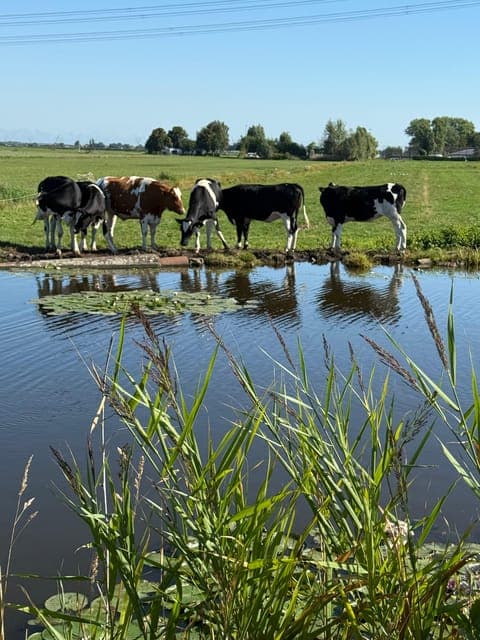 undefined Gallery Image 3