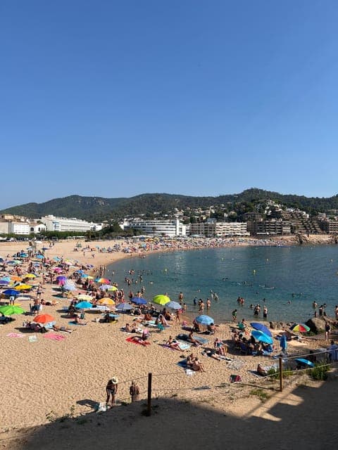 undefined Gallery Image 3