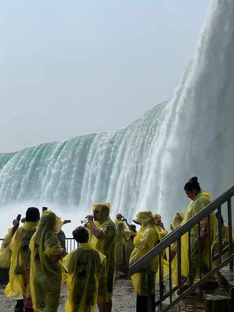 undefined Gallery Image 2