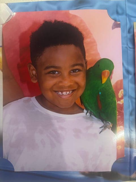 undefined Gallery Image 3