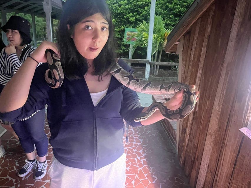 undefined Gallery Image 2